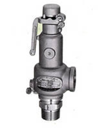 Safety_Relief_Valve (1)